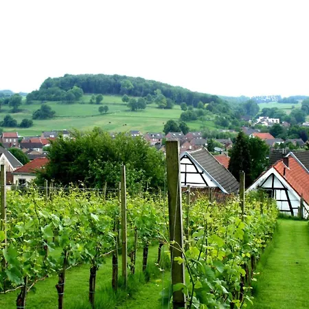 瓦尔肯堡公园酒店 4* 法尔肯堡