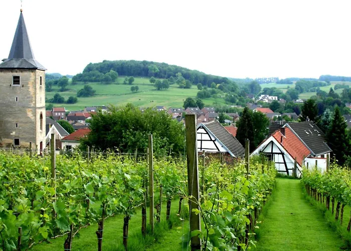 瓦尔肯堡公园酒店 4* 法尔肯堡